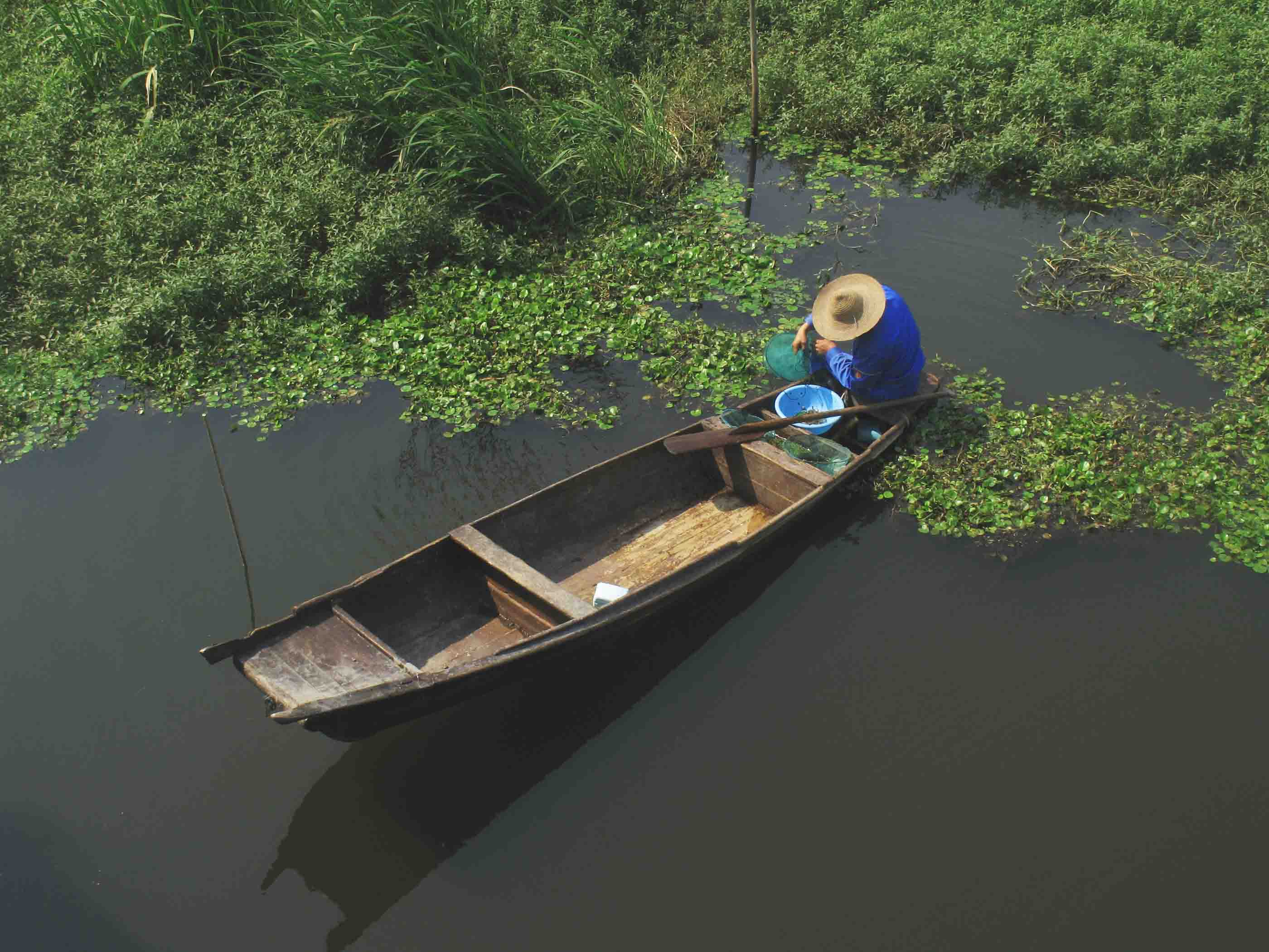 俄罗斯主帅:普京表扬了球队:足球赌注软件(图1) 足球赌注软件APP