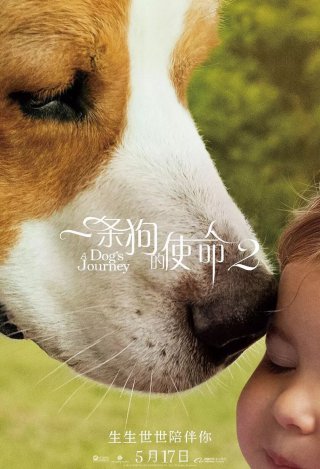 十大足球赌注软件