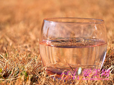 【十大足球赌注软件】
中国药科大学招聘14名领导员 含人文社科类专业 外语类可投递(图2) 十大足球赌注软件