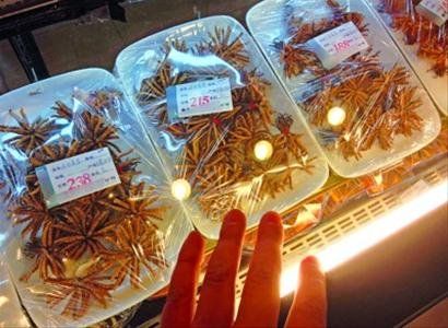 越南联: 西贡FC不敌清化 终场比分2:1:十大足球赌注软件排行榜(图3) 足球赌注软件APP