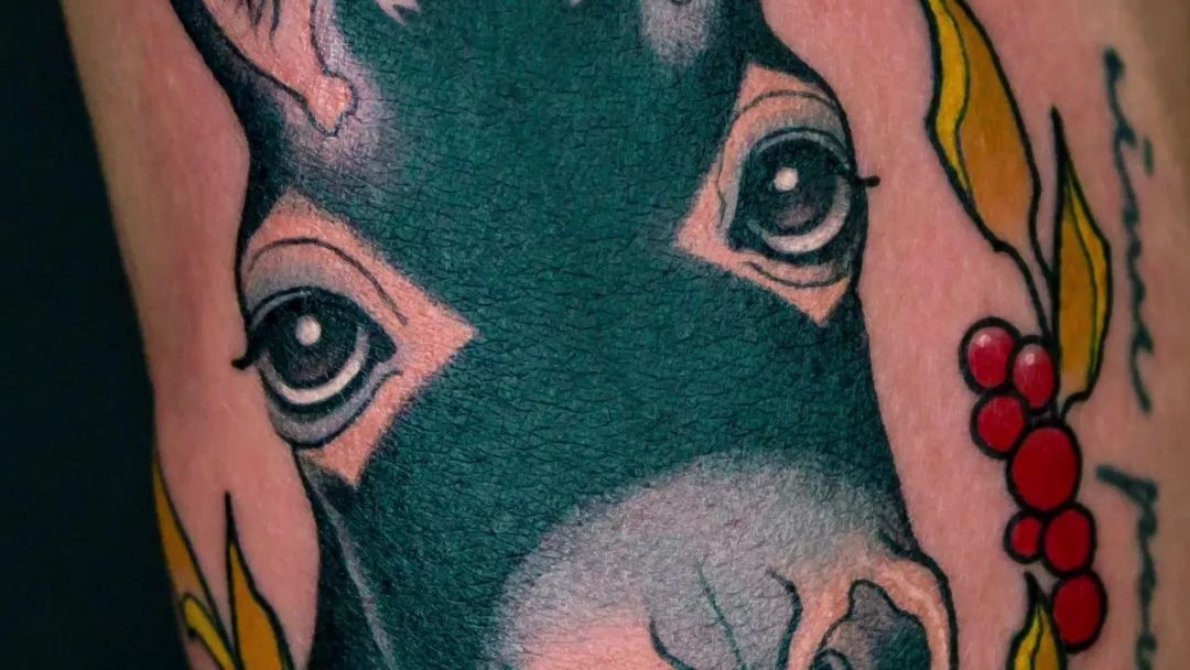 十大足球赌注软件