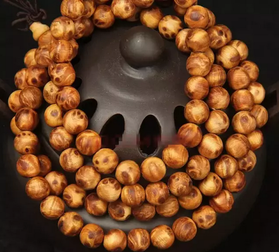 十大足球赌注软件排行榜