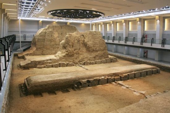 足球赌注软件APP