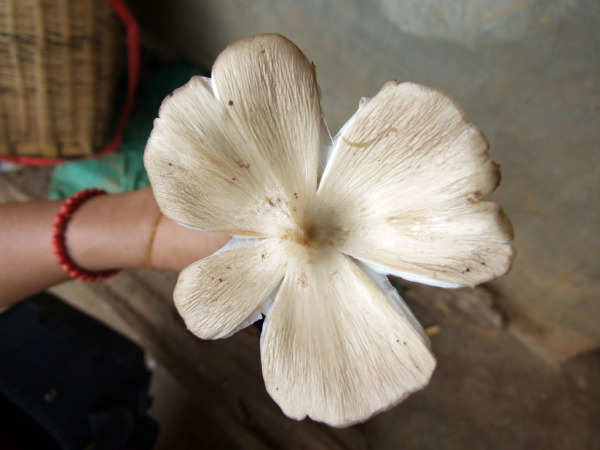 十大足球赌注软件排行榜