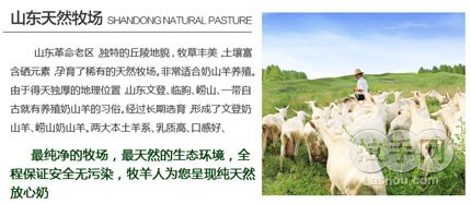 十大足球赌注软件