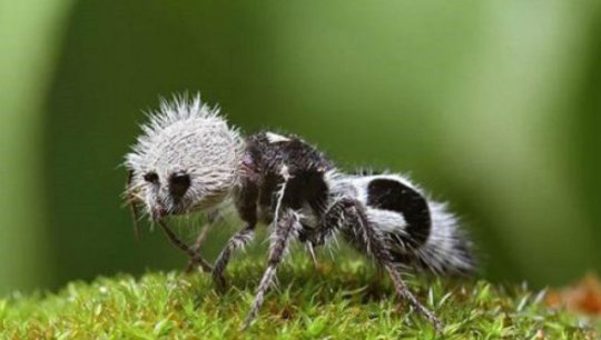 十大足球赌注软件